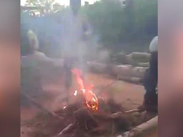 പട്ടികളെ ജീവനോടെ കത്തിച്ചു