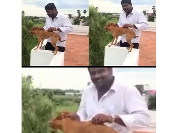 ചെന്നൈയില്‍ നടന്നത്