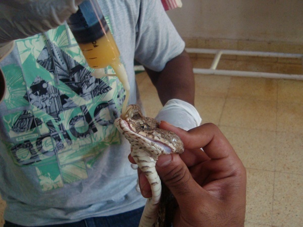 ആരൊക്കെയാണ് അന്തേവാസികള്‍