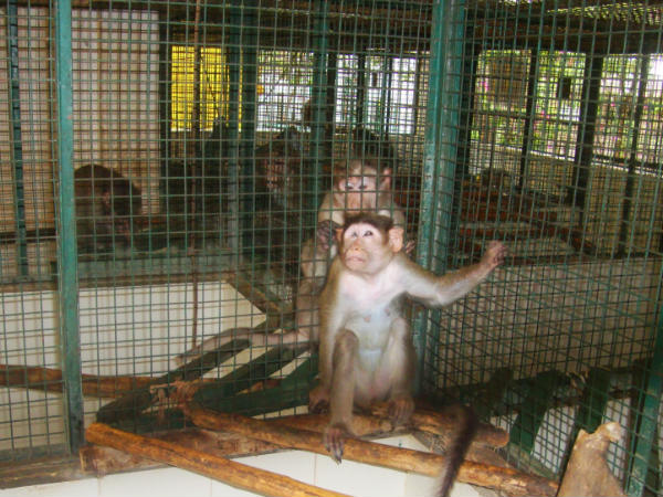 ഐസിയുവും ലാബും വരെ