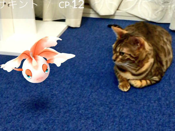 പോക്കെമോന്‍ വളര്‍ത്തുമൃഗങ്ങള്‍ക്കും