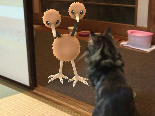 ജപ്പാനില്‍ പോക്കെമോന് സംഭവിച്ചതെന്ത്