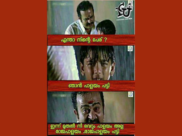 രാജപാളയം പട്ടി