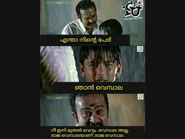 രാജവെമ്പാല