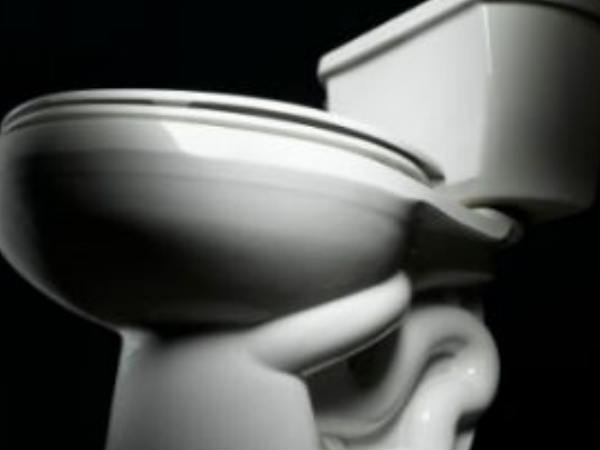 യൂറോപ്യന്‍ ടോയ്‌ലറ്റ്