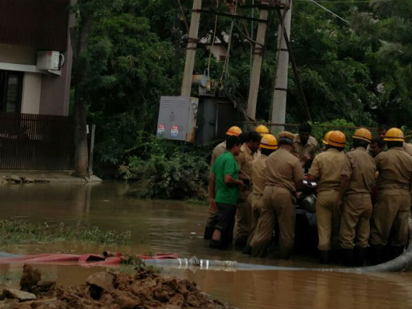 റോഡില്‍ മീന്‍ പിടിക്കാന്‍ തിരക്ക്
