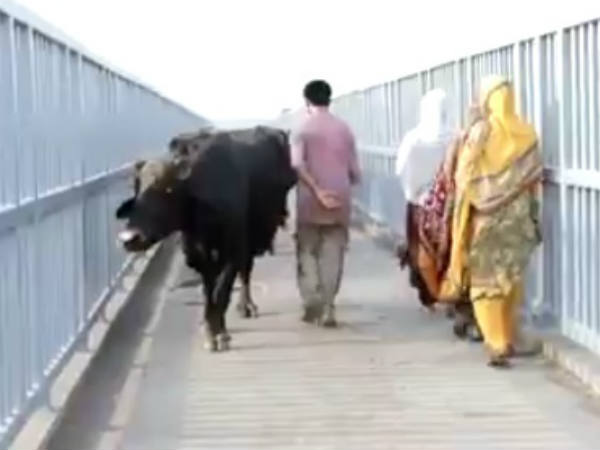  ഇന്റര്‍വ്യൂവിന് പുറകില്‍