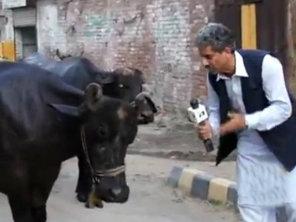 ചോദ്യം ഇതായിരുന്നു