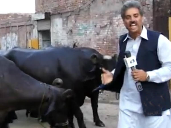  എരുമ ഉത്തരം പറഞ്ഞത് കേള്‍ക്കണ്ടേ...