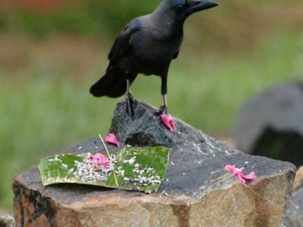 വാവ് ബലിയുടെ വിശ്വാസം