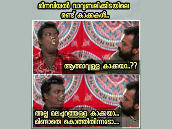 ആത്മാവുള്ള കാക്ക?