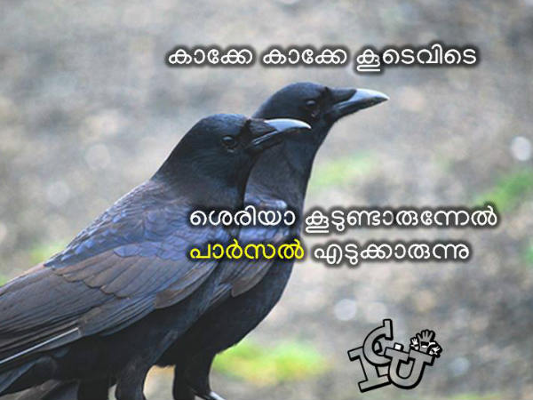 പാഴ്‌സല്‍ കിട്ടുമോ