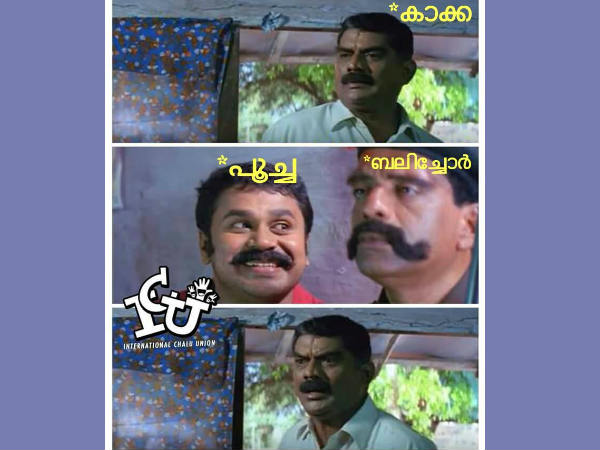 കാക്കേ.. കാക്കേ... പൂച്ച!