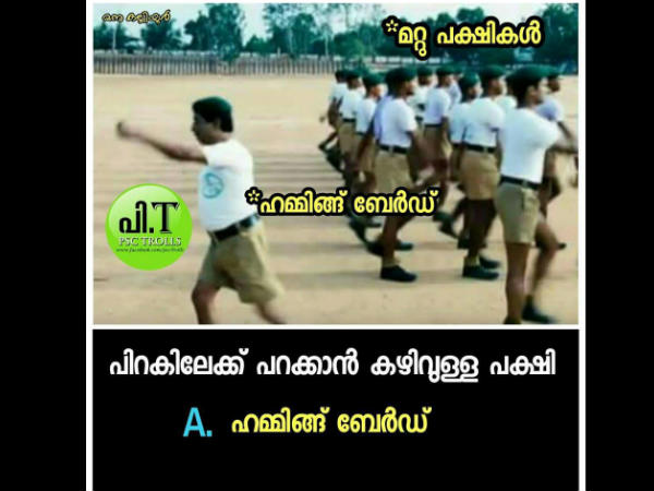 ഹമ്മിങ് ബേര്ഡ് ഹമ്മിങ് ബേര്ഡ്