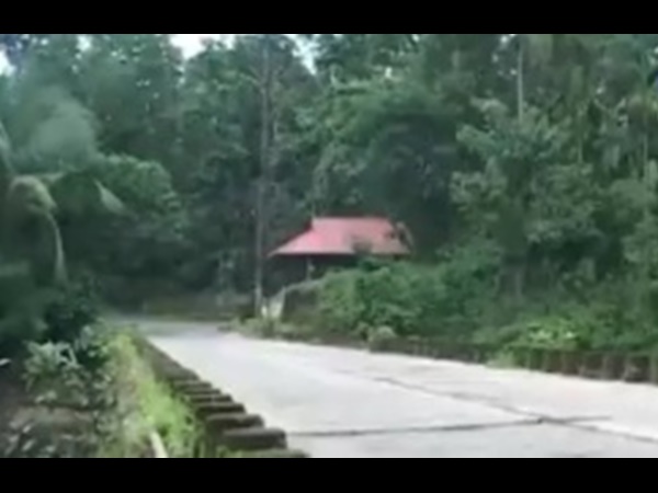 തൊമ്മന്‍കുത്തില്‍