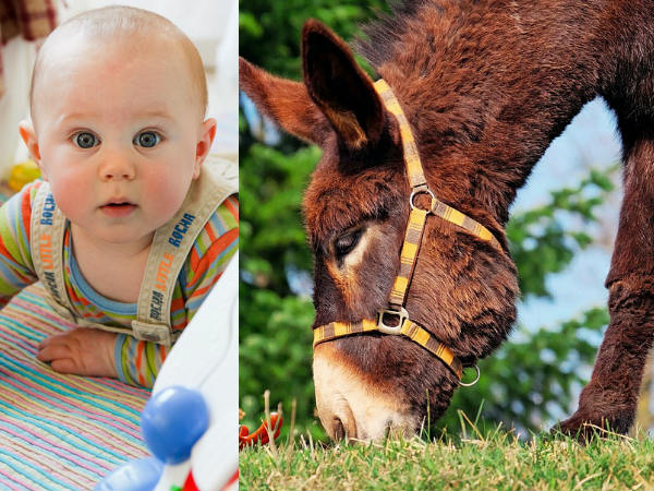 പാലിന്റെ ഗുണങ്ങള്‍