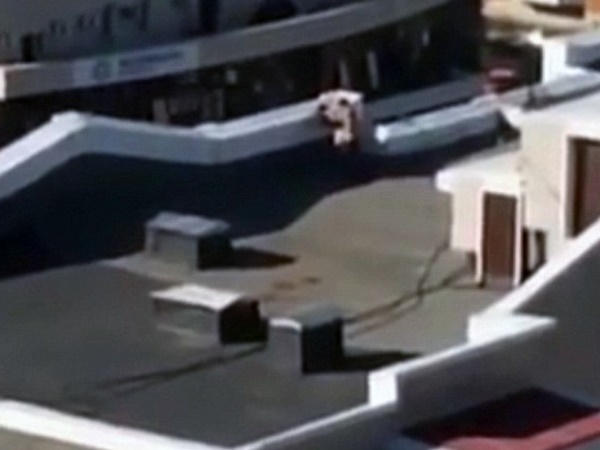 പട്ടാപ്പകല്‍