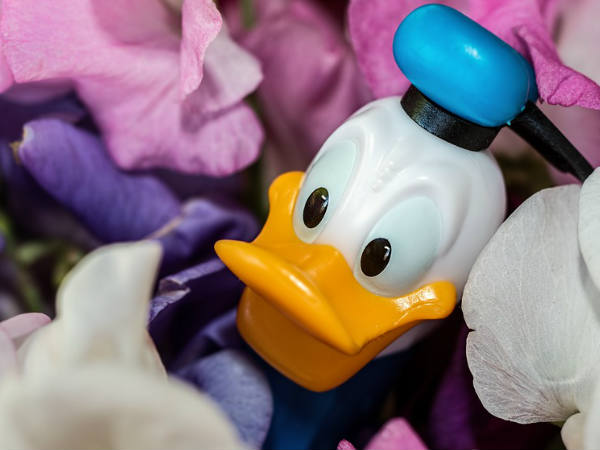 ഡൊണാള്‍ഡ് ഡക്ക്