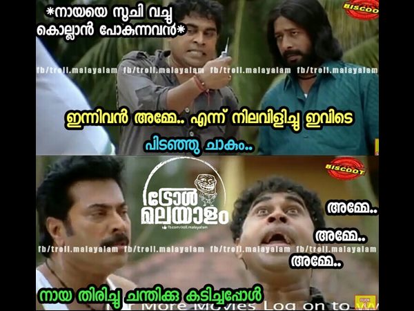 പിടഞ്ഞ് ചാകും 