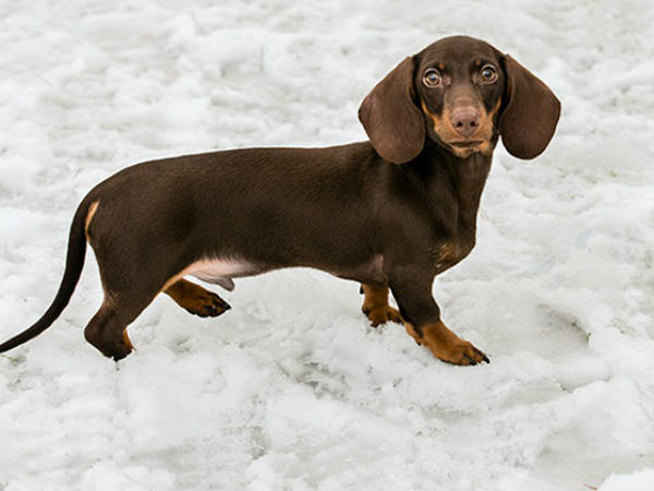 ആയുസ്... ആയുസ്...