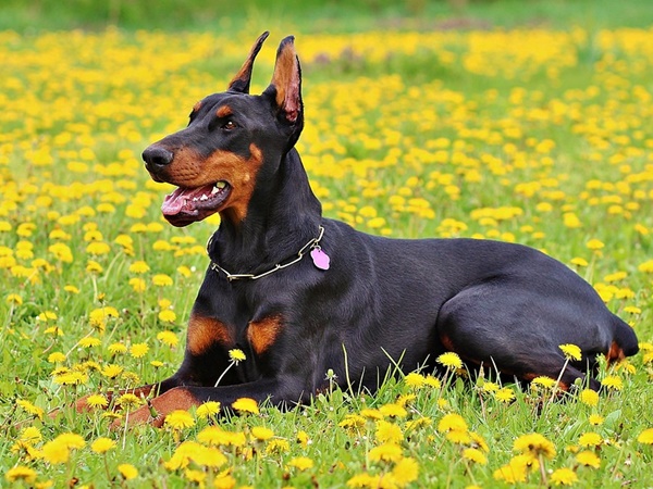 ഹൈലൈറ്റ്... ഹൈലൈറ്റ്...