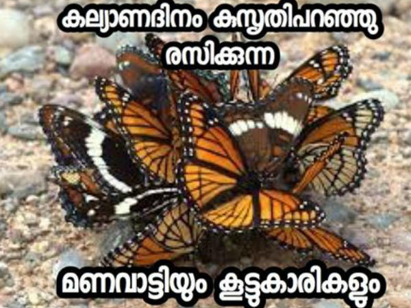 പൂമ്പാറ്റ മയം പൂമ്പാറ്റ മയം