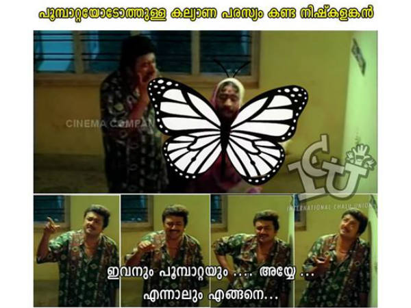 പൂമ്പാറ്റയുമായിട്ടോ? പൂമ്പാറ്റയുമായിട്ടോ?