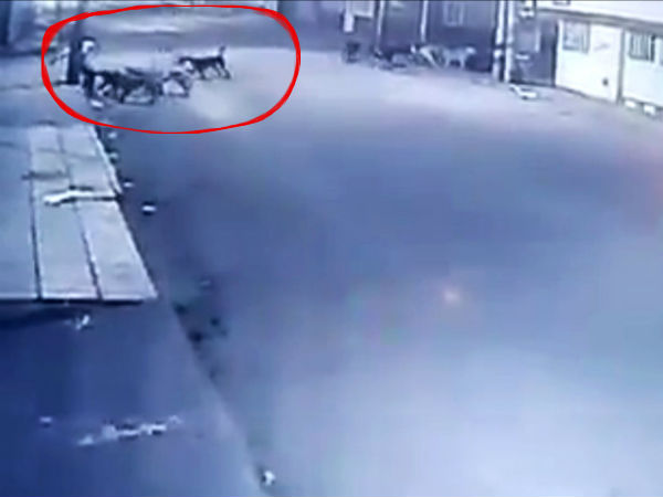 കൊളംബിയ