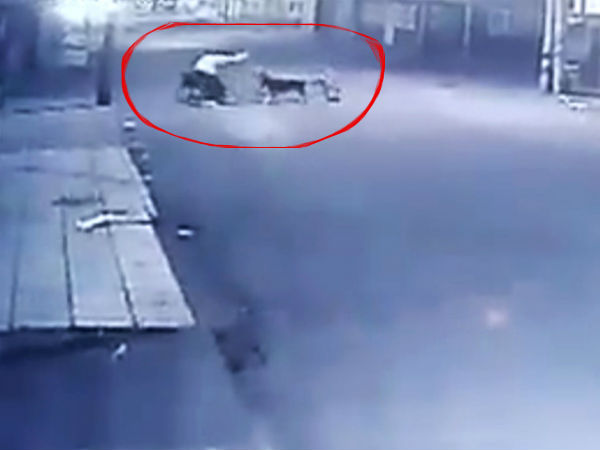 കടിച്ചുപറിച്ചു