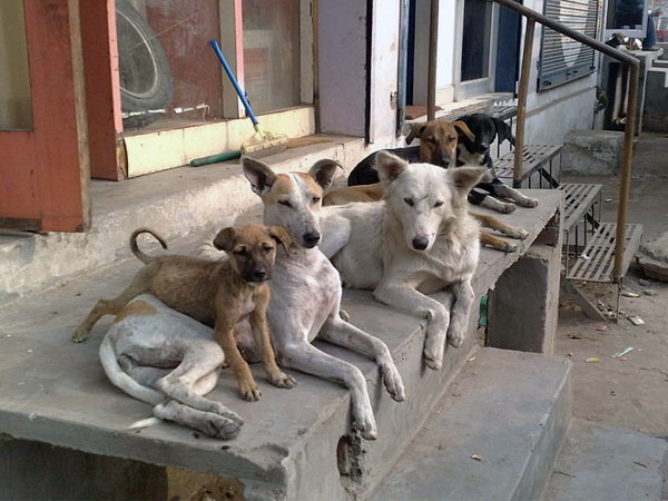 എന്തുകൊണ്ട്?