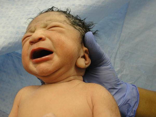 പങ്കാളി