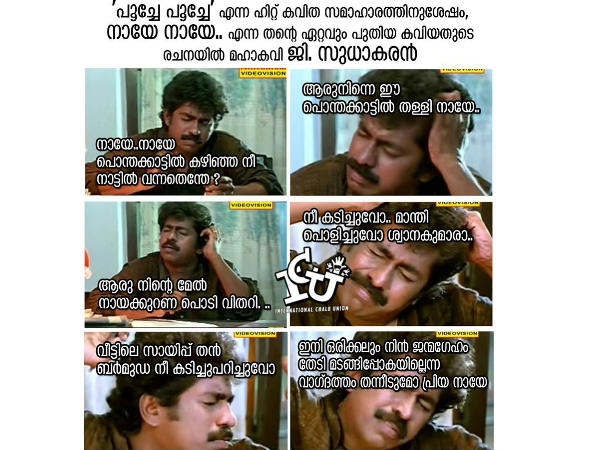 ഇനി നായേ നായേ 