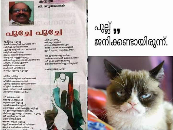 ജനിക്കണ്ടായിരുന്നു 