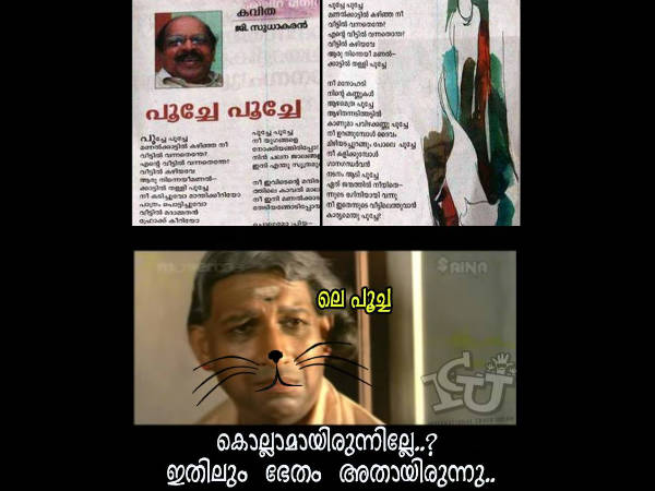 കൊല്ലാമായിരുന്നില്ലേ 