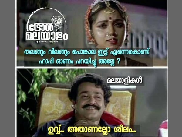 മല്ലൂസിന്റെ ശീലം