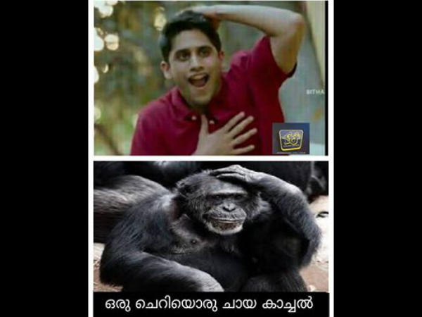 ചായകാച്ചല്‍