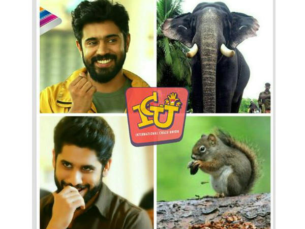 ആനയും അണ്ണാനും