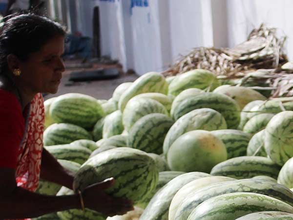 പ്രകൃതിദത്ത വയാഗ്ര