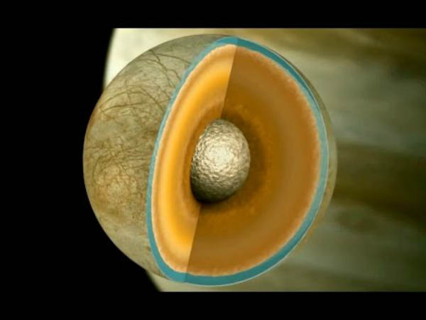 വലിയ ജീവികള്‍