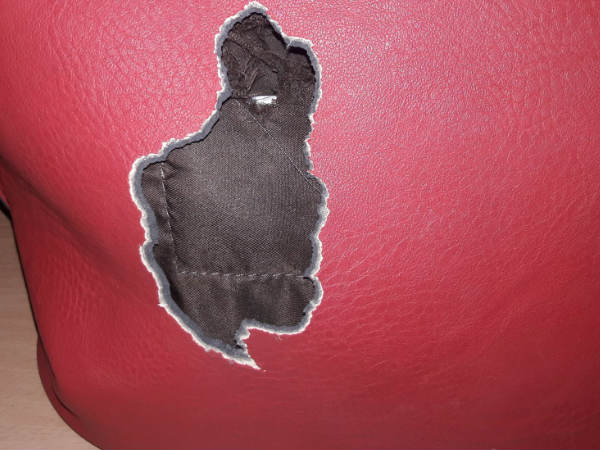 ബാഗ് കടിച്ചുപറിച്ചു