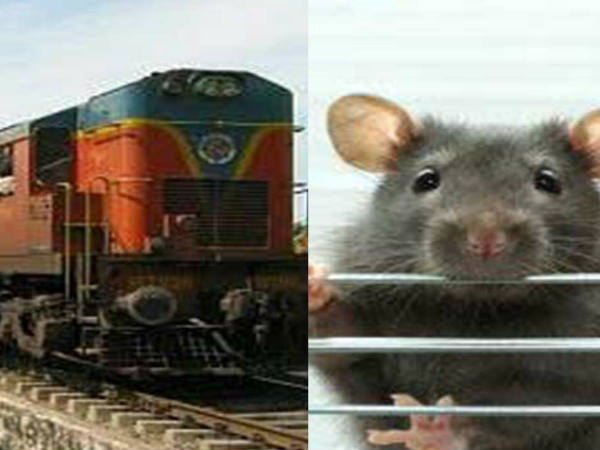 എങ്ങനെ പേടിക്കാതിരിക്കും