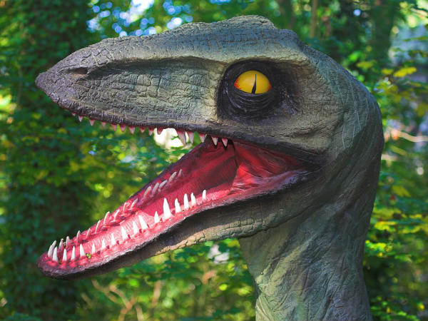 ഉചിതമായ നടപടി