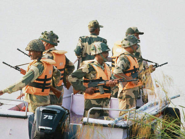 കാടിനുള്ളില്‍