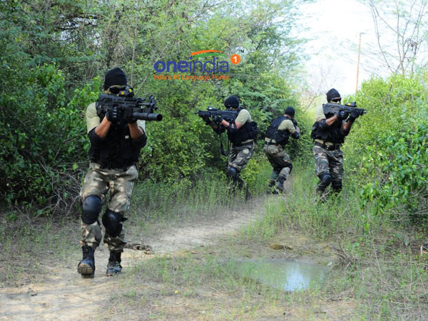 നോക്കൂ നോക്കൂ