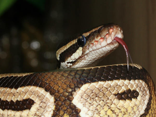  കല്ലുകൊണ്ട്