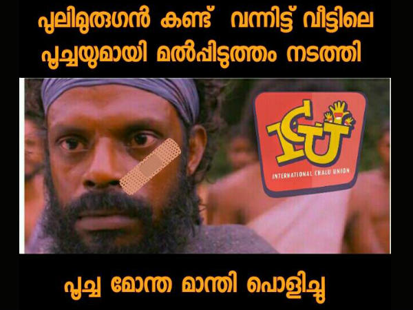 പൂച്ചയെങ്കില്‍ പൂച്ച