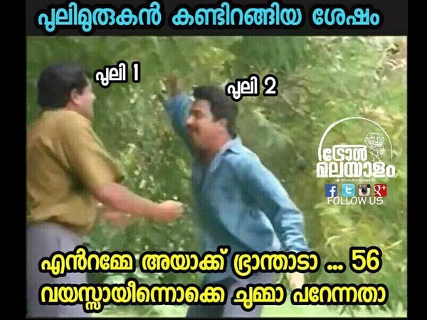 അയക്ക് ഭ്രാന്താടാ 