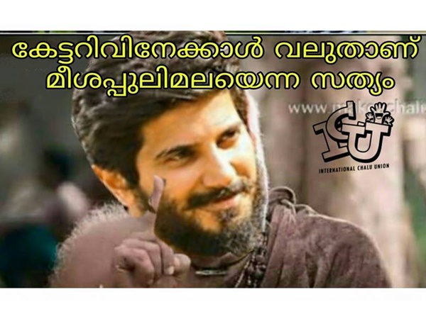മീശപ്പുലി മല