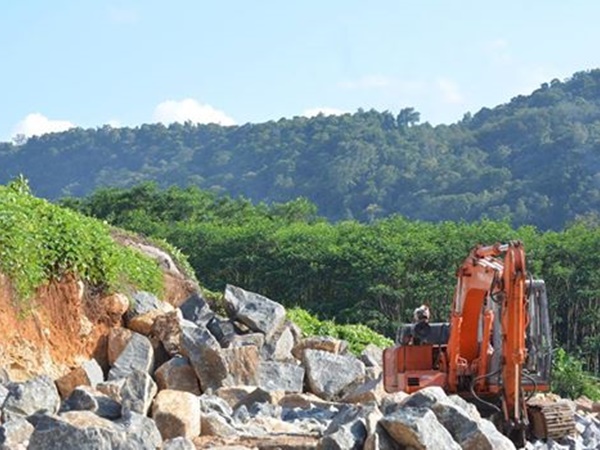 വീട് പണിയാനും മരം വയ്ക്കാനും