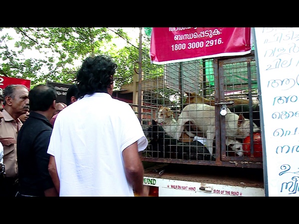 ഡോഗ് റിസോര്‍ട്ട്